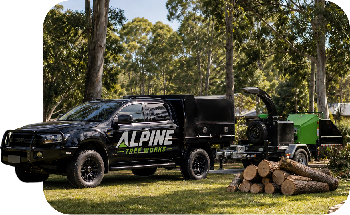 Alpine Tree Works branded vehicle on site